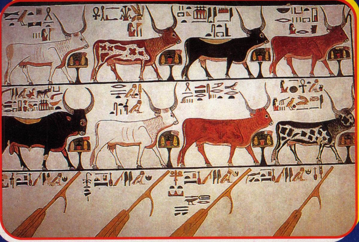 Кошки в древнем египте — википедия
