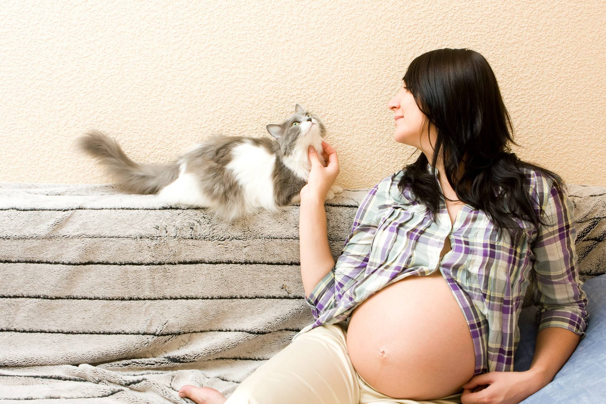 Чем может быть опасна кошка дома во время время беременности?