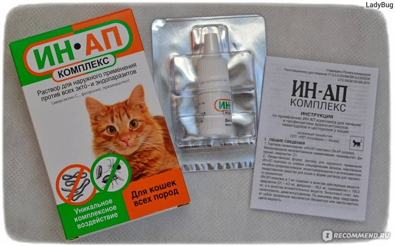 Ин-ап комплекс для кошек: защита питомцев от всех паразитов