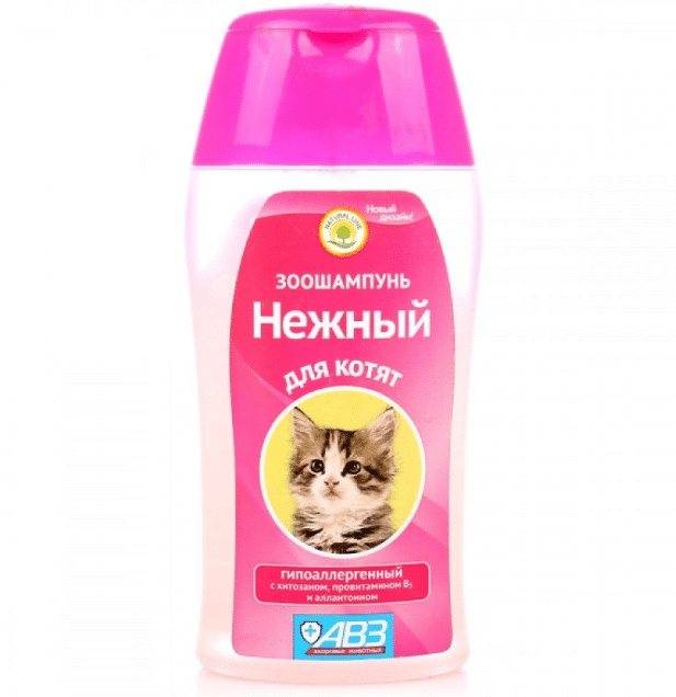 Сухой шампунь для кошки: особенности выбора и применения, популярные производители косметического продукта и отзывы владельцев животных