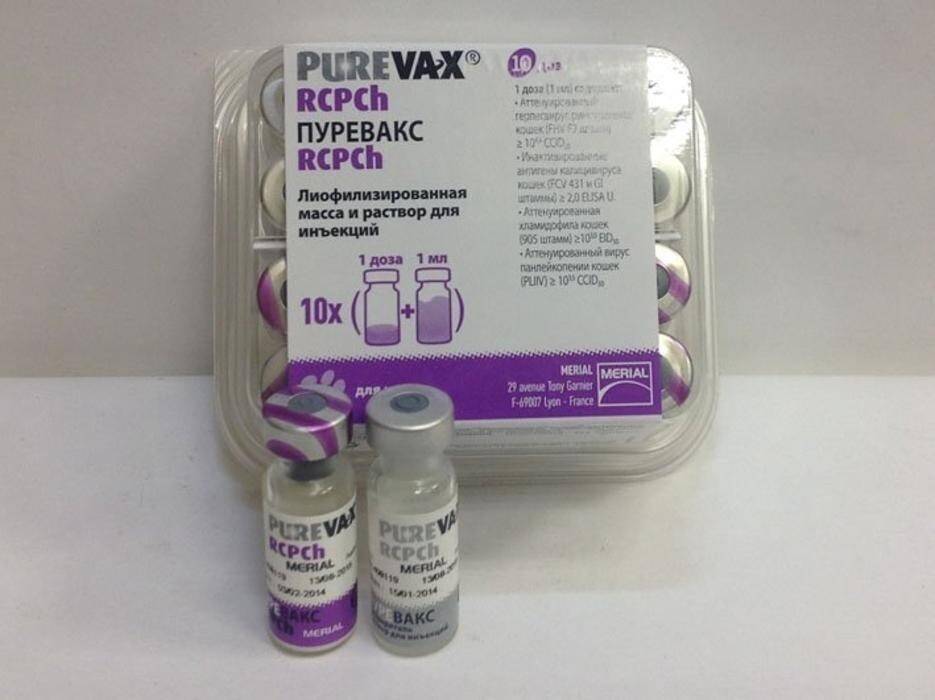 Пюревакс (purevax) rcpch, "живая" комплексная вакцина для кошек