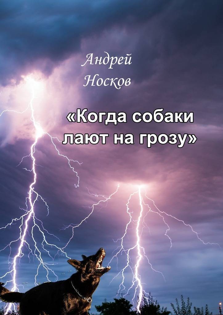 Мои собаки боялись грозы, но я избавила их от этого страха: помогли игры "в грозу" в ясные дни, создание белого шума и еще несколько способов