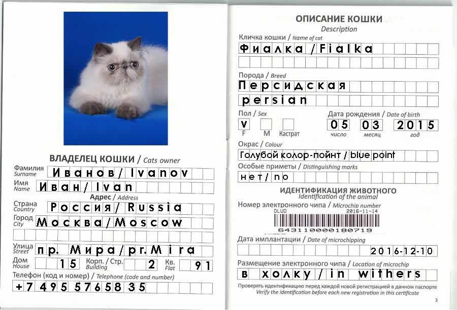Как заполнить ветеринарный паспорт