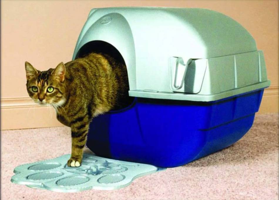 Автоматический туалет для кошек