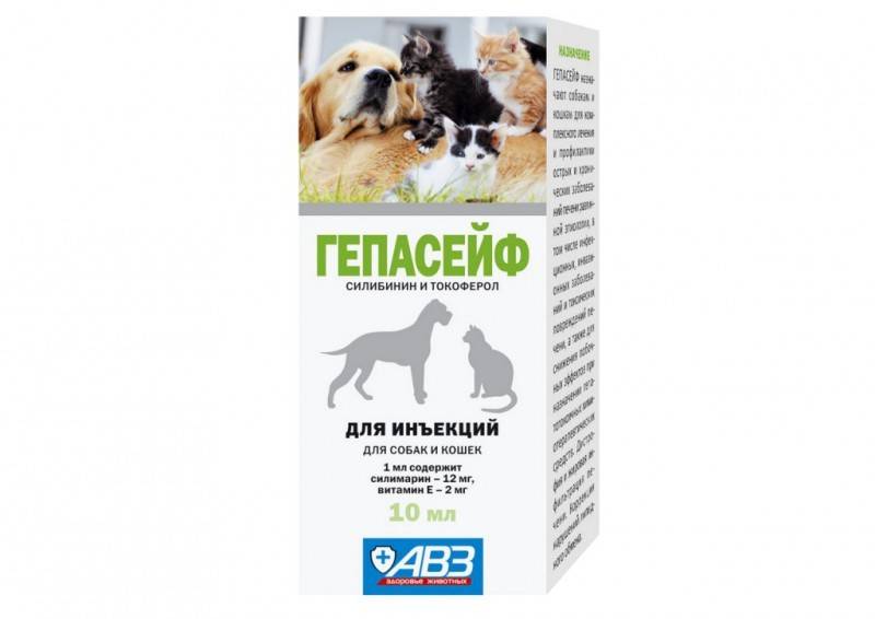 Гепатолюкс суспензия для собак мелких пород 25 мл - купить, цена и аналоги, инструкция по применению, отзывы в интернет ветаптеке добропесик