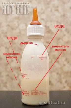 Замена кошачьего молока: особенности альтернативного кормления