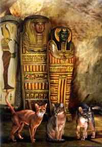 Презентация на тему "культ кошек в древнем египте" по истории для 5 класса