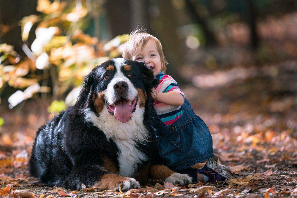 Самые лучшие собаки для детей и семьи – активные, добрые, игривые и другие породы