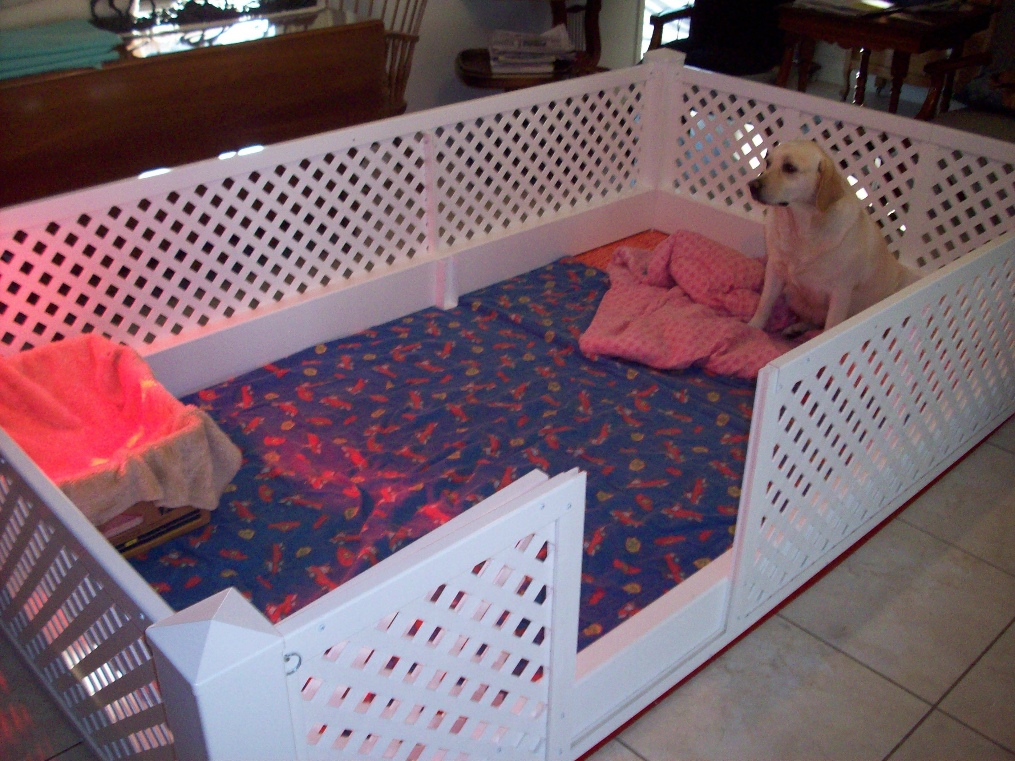 Вольер для собаки в квартире — как создать безопасное место для домашнего питомца