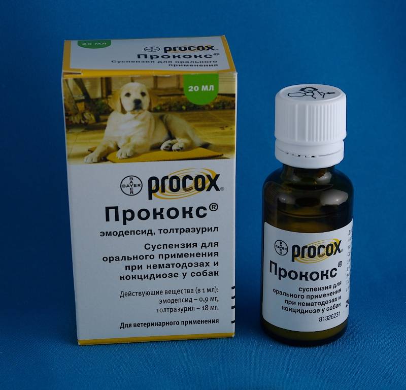 Прококс суспензия для собак и щенков, 7,5 мл купить, цена и отзывы в зоомагазине beewell
