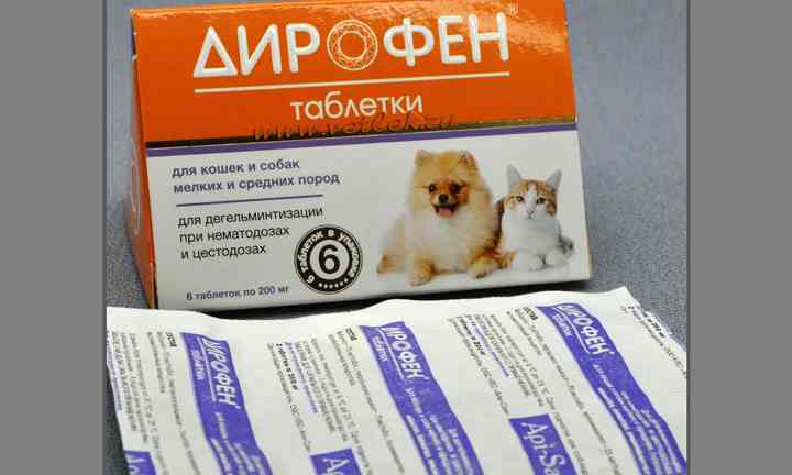 Дирофен для кошек: показания и инструкция по применению, отзывы, цена