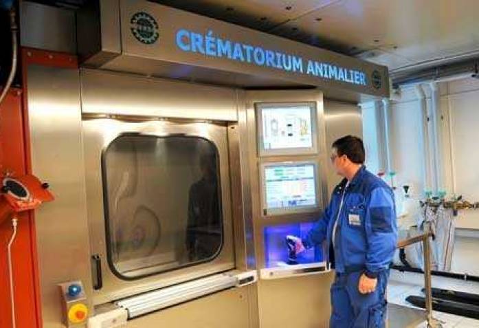 Как открыть крематорий для животных