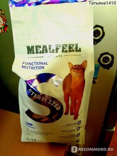 Корм для кошек mealfeel: отзывы ветеринаров о качестве