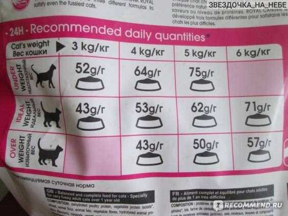 Как правильно перевести кошку или кота на сухой корм?