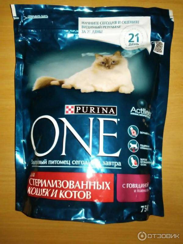 Обзор корма для кошек purina one