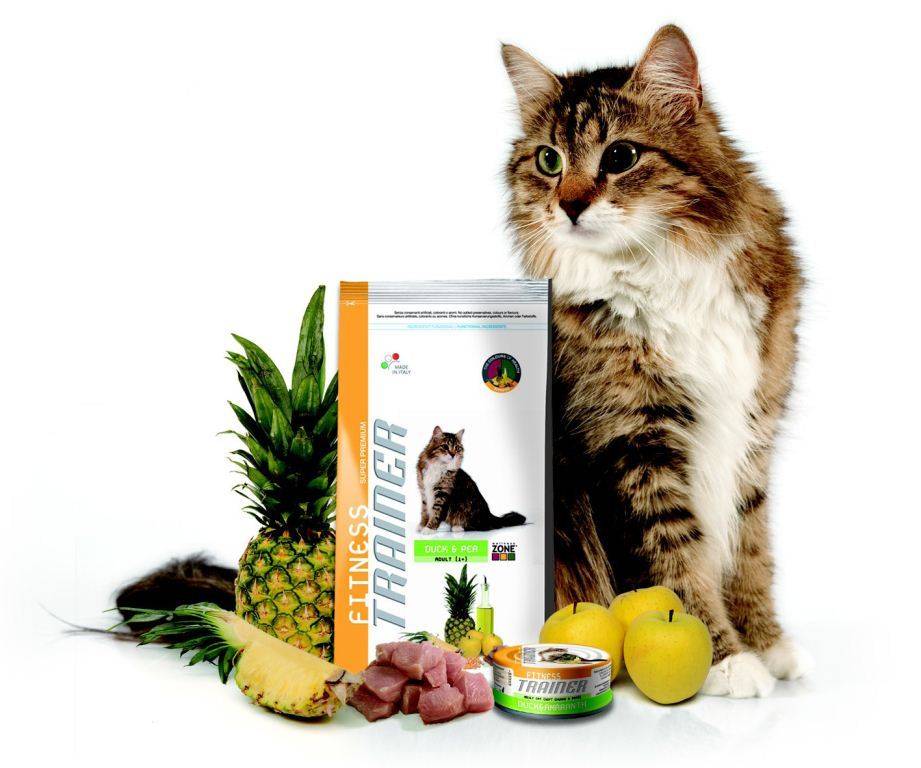 Корм «мнямс» для кошек: состав, производитель, какого класса, отзывы ветеринаров, цена