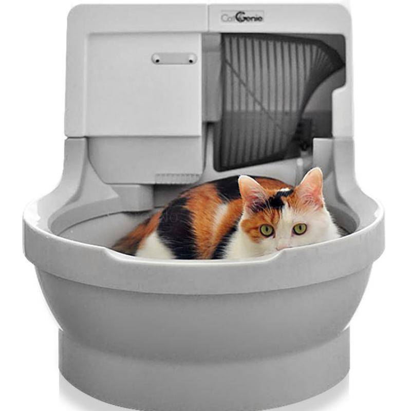 Автоматический туалет для кошек в умном доме: принципы работы и популярные модели
