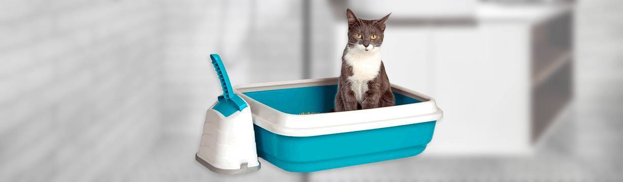 Чем лучше чистить кошачий туалет