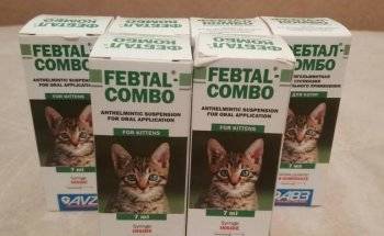 Фебтал для кошек: особенности приема препарата от глистов, отзывы