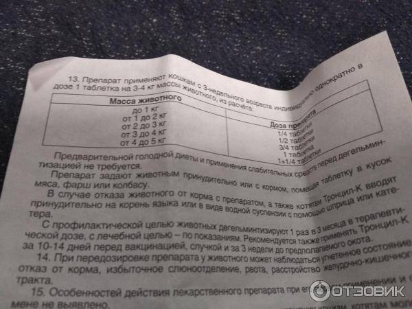 Панкреатит у кошек и собак, диагностика и лечение