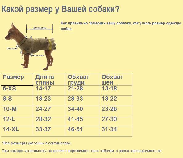 Вес немецкой овчарки по месяцам: таблица сколько весит щенок и взрослая собака, а также до какого возраста растут питомцы