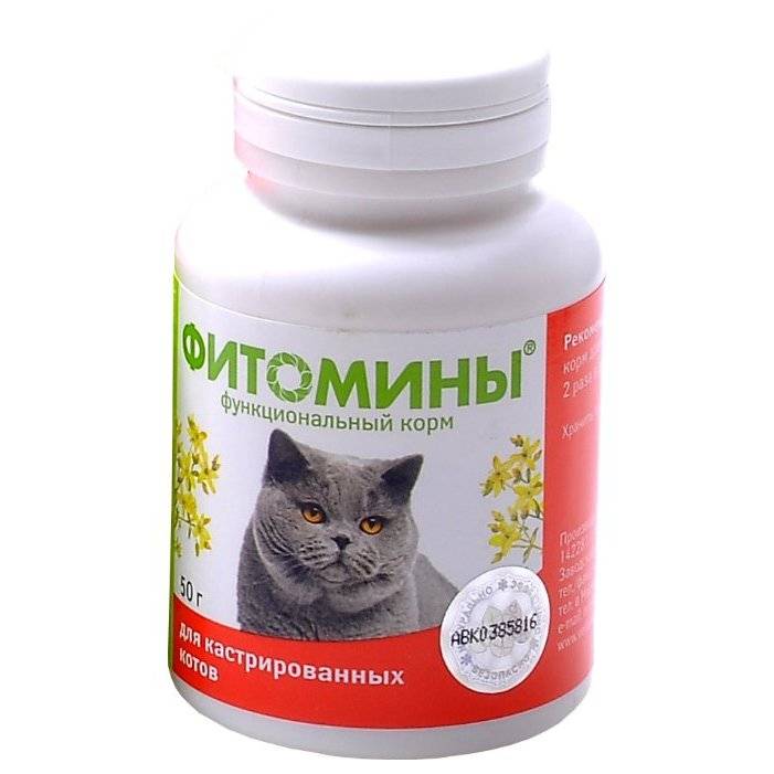 Витамины для кошек для иммунитета: какие необходимы, как давать, обзор популярных