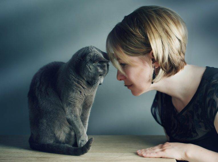 Понимают ли кошки человеческую речь?