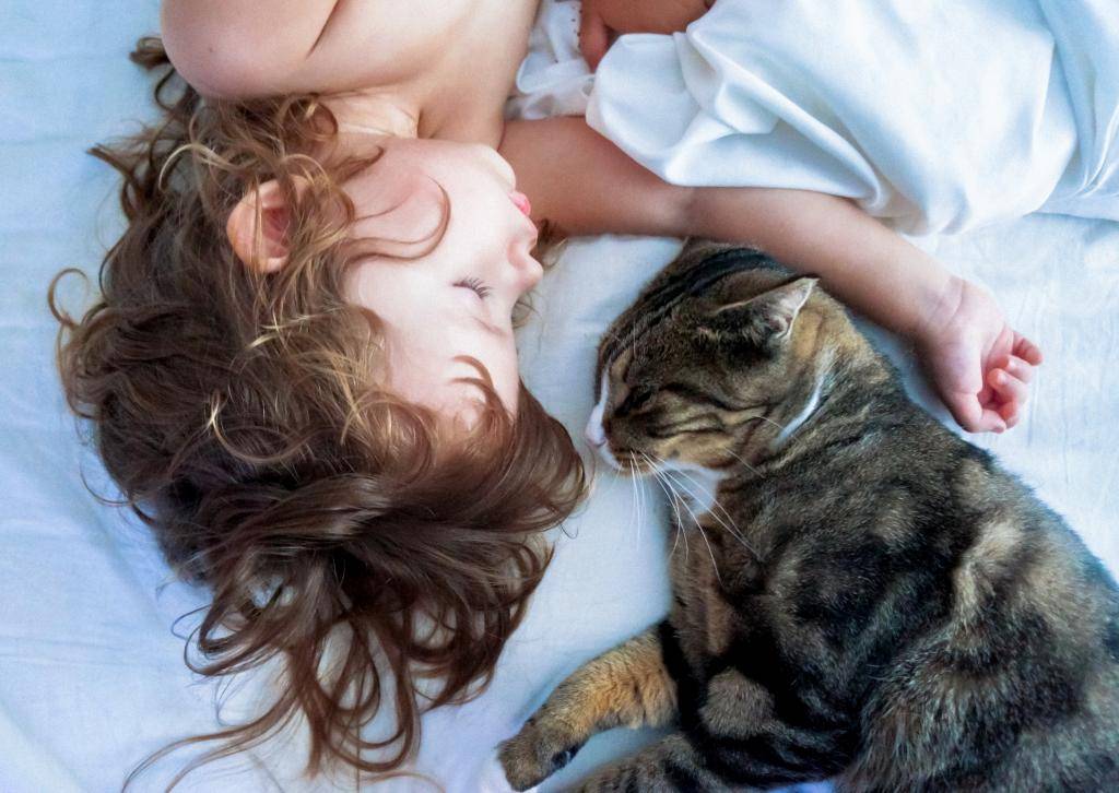 Как кошка показывает свою любовь к хозяину – 7 основных знаков внимания