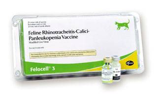 Фелоцел вакцина для кошек и котов: инструкция по применению, цена, отзывы