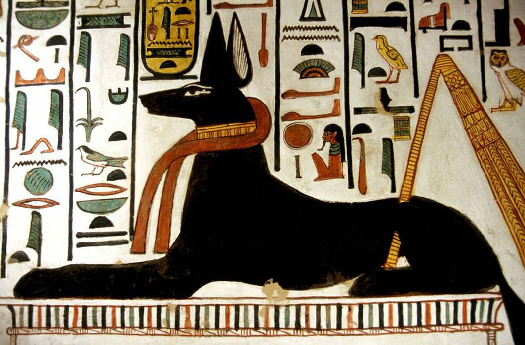 История кошки в древнем египте и средневековой европе