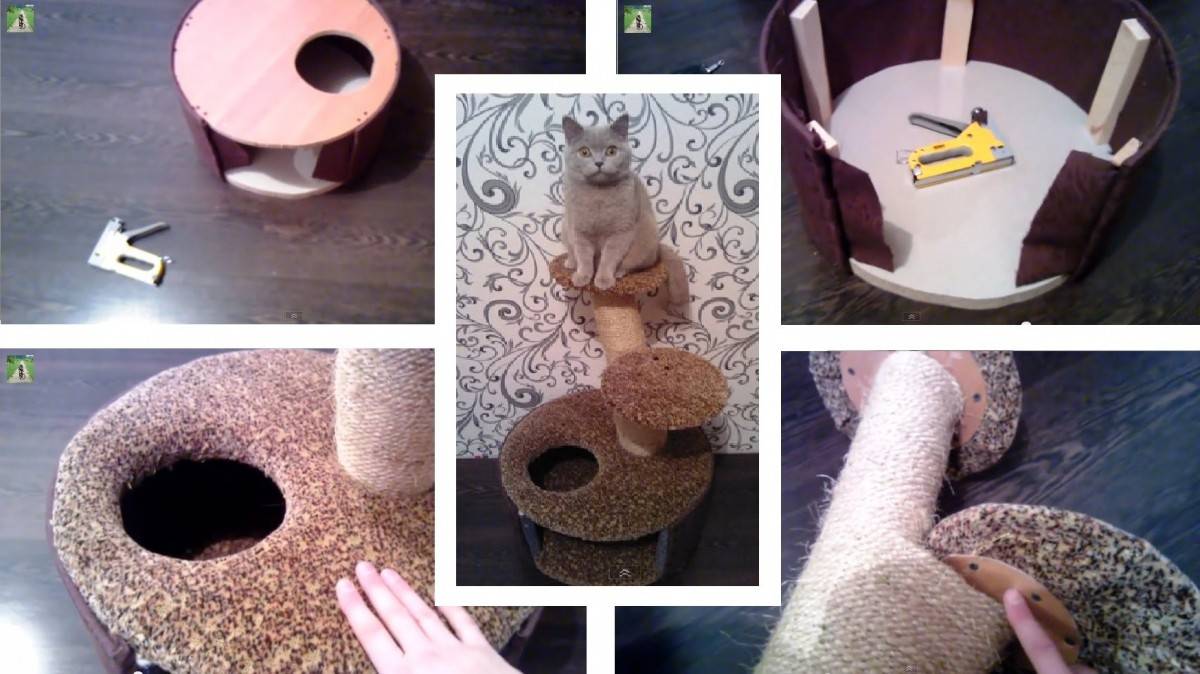 Домик для кошки своими руками (70 фото): как сделать лежанку для кота в домашних условиях по чертежам? самодельные кошачьи домики из газетных трубочек, из дерева и из других материалов