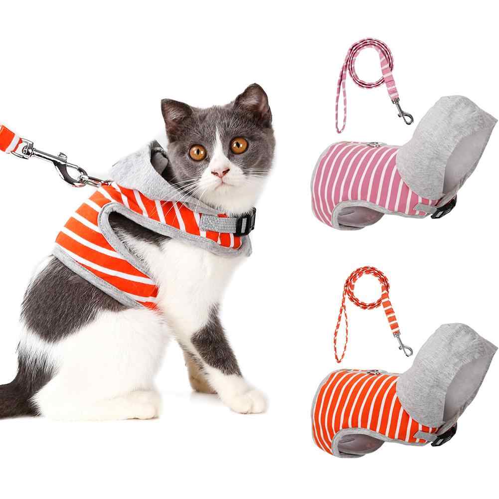 Как одевать шлейку на кота, поводок для прогулки на улице