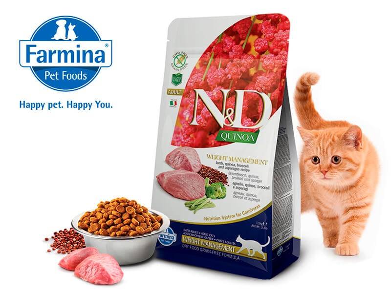 Самый честный обзор сухих кормов и консерв от farmina nd для котов