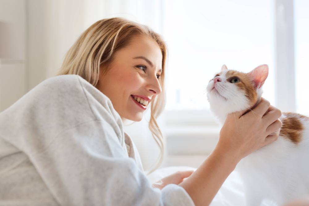 10 признаков того, что ваш кот счастлив