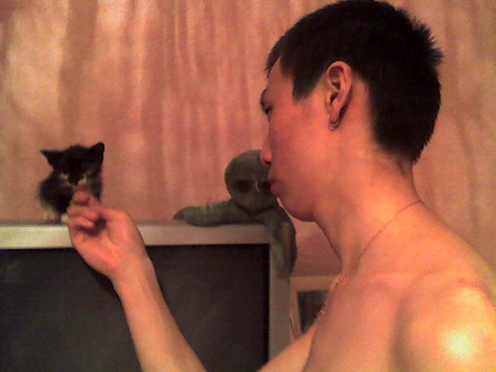 Почему кошка нюхает рот. зачем китайцы нюхают котов: чем опасно и как это правильно делать. как понять кошку — трение