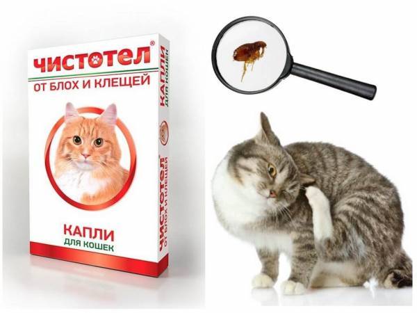 Капли Чистотел для кошек