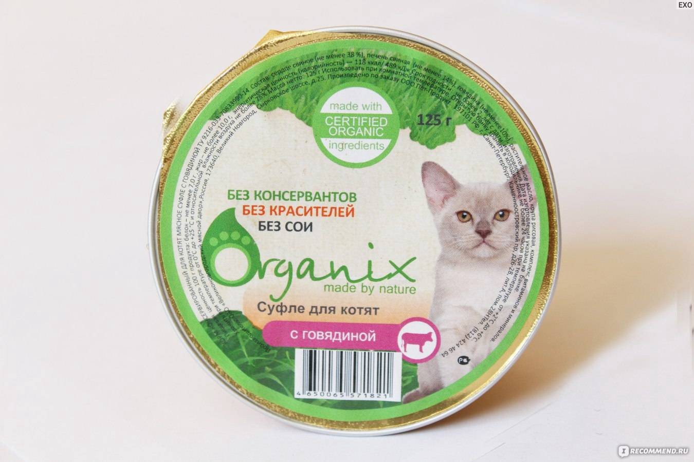 Подробный обзор продукции органикс для кошки: анализ состава кормов