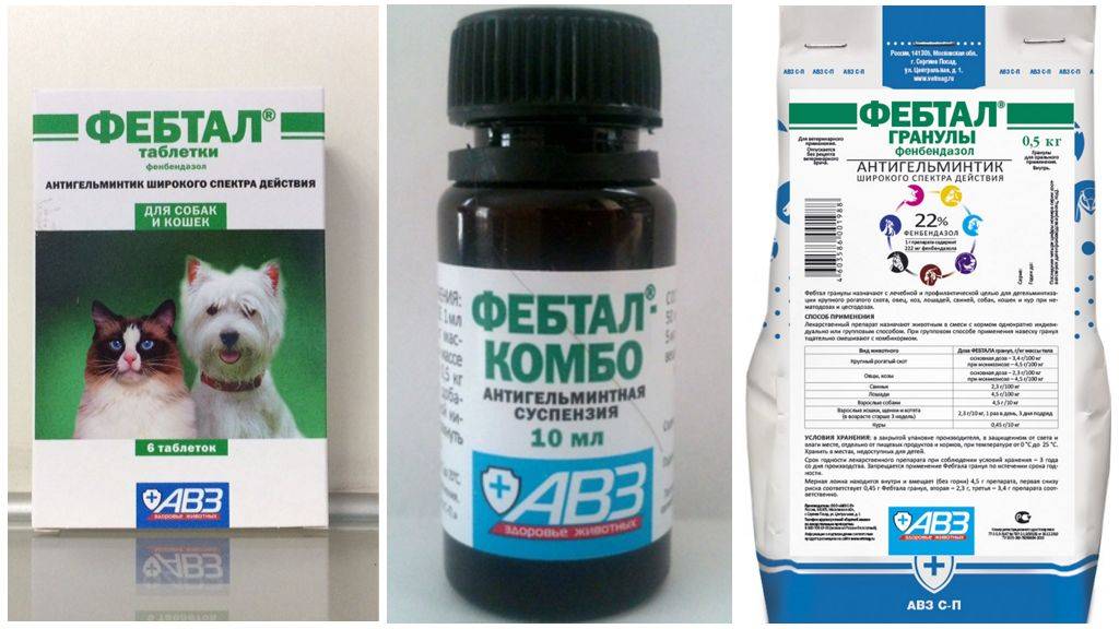 Антигельминтик для кошек и собак авз фебтал таб. (таблетки, 6 шт) - цена, купить онлайн в санкт-петербурге, интернет-магазин зоотоваров - все аптеки