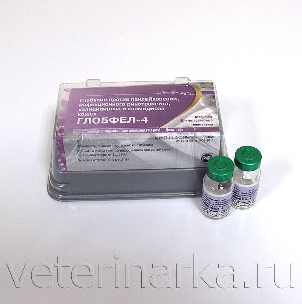 Вакцина «мультикан-4» для собак: показания и побочные действия, инструкция по применению