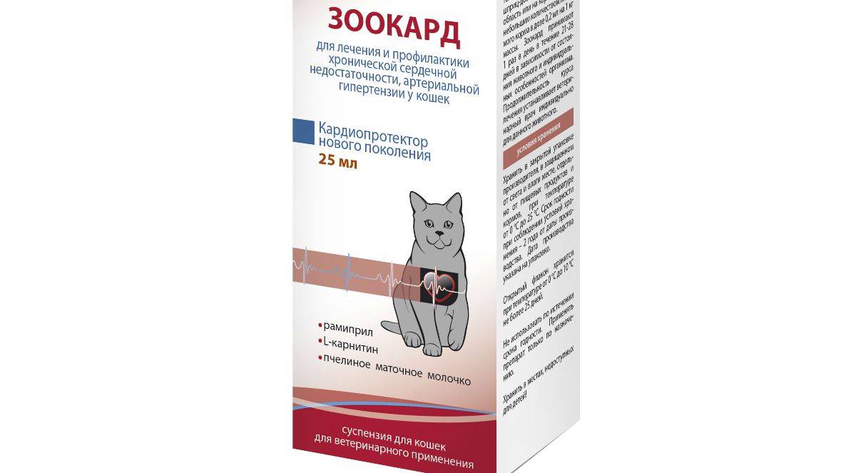 Энромаг для кошек: инструкции по применению в ветеринарии, показания и противопоказания, побочные действия, отзывы, стоимость, аналоги