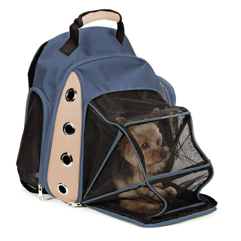 Как выбрать переноску для кошки: сумка, рюкзак с иллюминатором, сколько стоит, как сшить своими руками