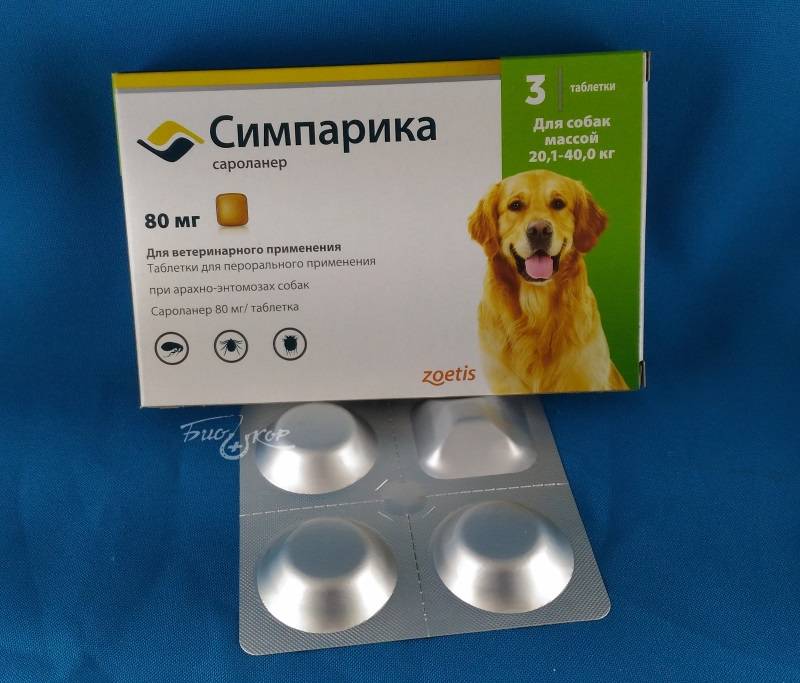 Симпарика 40 мг от блох и клещей для собак 10-20 кг, упаковка 3 таблетки купить, цена и отзывы в зоомагазине beewell
