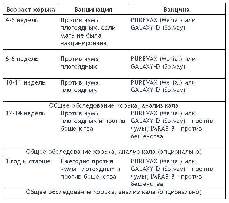 Прививки щенкам. Прививки собакам по возрасту таблица. Прививки у собак график прививок по возрасту таблица. Вакцинация хорьков Нобивак схема. Прививка щенкам по возрасту таблица.