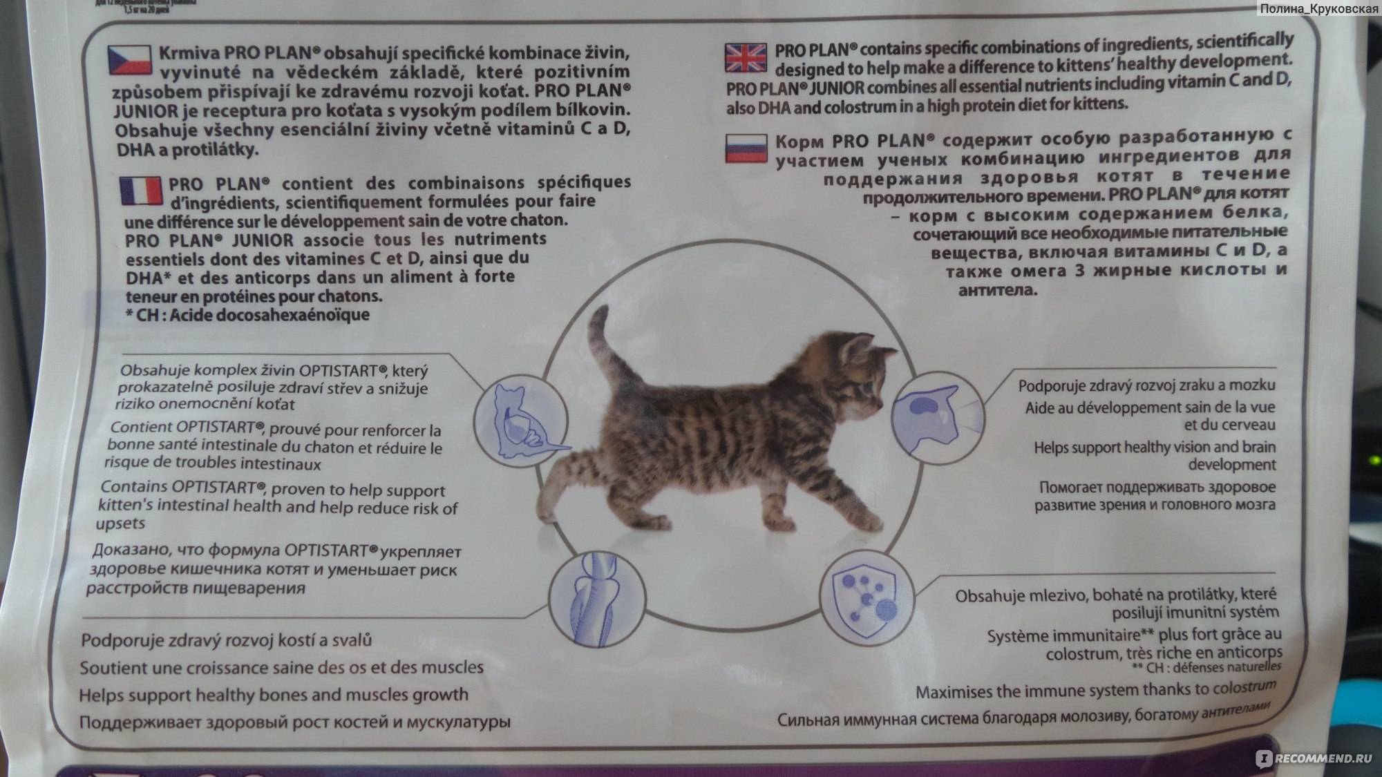 Зачем стерилизованным кошкам особое питание?