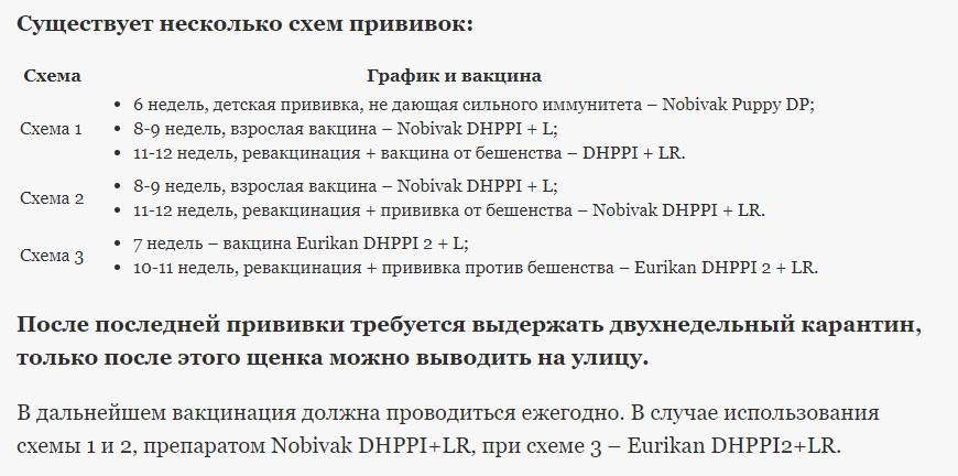 Сколько раз делают прививку собаке