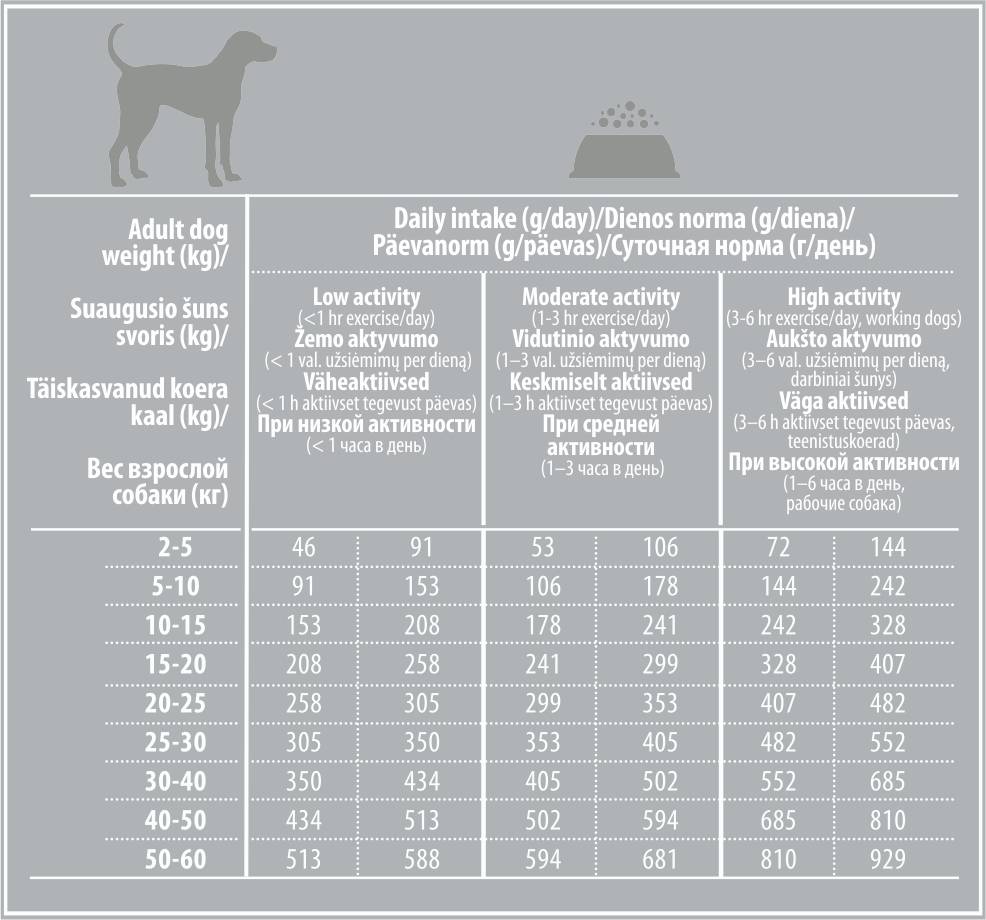 Правильное кормление собак: нормы, время, рацион - кормление
