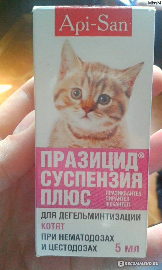 Как использовать препарат празицид суспензия плюс для кошек и котят