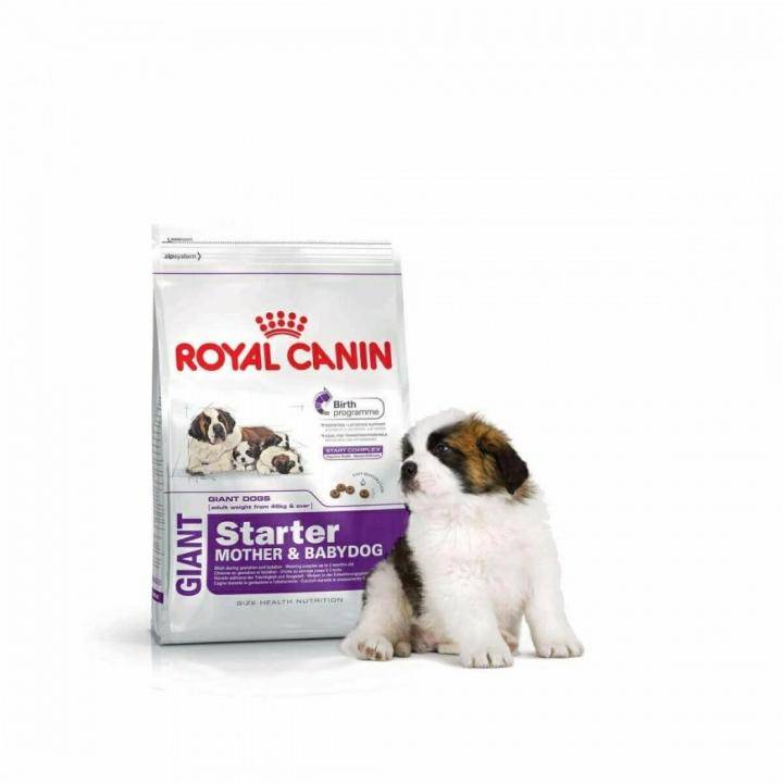Корм для собак royal canin: отзывы и обзор состава