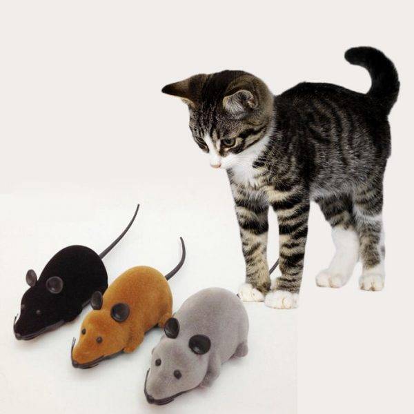 Какие игрушки любят кошки, топ лучших игрушек для кошек