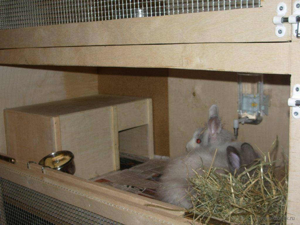 Клетка для кроликов своими руками: пошаговая инструкция